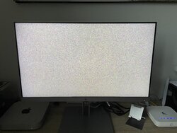 IMG_9880.jpeg IMG_9880.jpeg