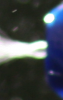 Bild 8.png