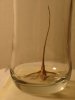 echse_glas.jpg