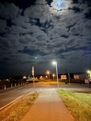 IMG_4445.JPG
