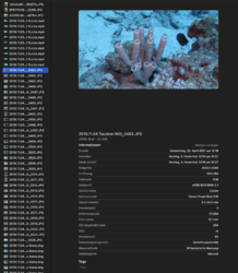 ECB3506B-306F-4E9E-816C-C8C18BAF2854.png