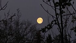 IMG_4299[1842].jpg