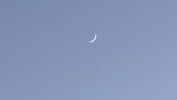 IMG_4740.jpg