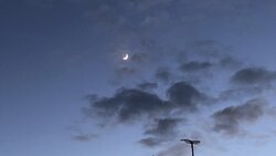 IMG_4793.jpg