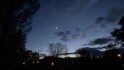 IMG_4794.jpg