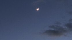 IMG_4798.jpg