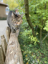 IMG_8895.jpeg