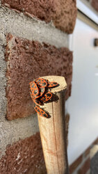 IMG_1719.jpeg