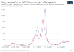 coronavirus-data-explorer(8).png