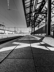 8644A96E-D611-4F53-A0B1-43C594F28059.jpeg