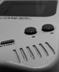 48C65383-322C-47BF-9544-F56B251AAED7.jpeg