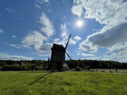 IMG_0495.jpeg