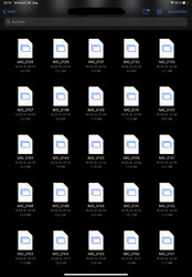 0336EAE2-1DA1-45E0-8FF1-3A979B8D4061.jpeg 0336EAE2-1DA1-45E0-8FF1-3A979B8D4061.jpeg