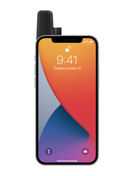 Apple_iOS-update-iphone12pro-watchseries6-unlocking-screen_042621 copy.jpg