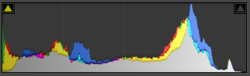 histo2.png