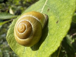 17E601FE-E053-479E-914C-AB707BF97526.jpeg