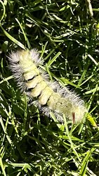 IMG_3359.JPG