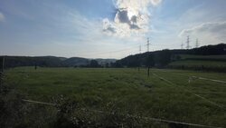 IMG_4610.JPG