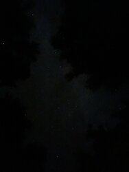 B7323F70-87B2-47C9-8BCC-EEAEAC1237D7.jpeg