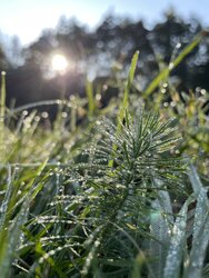 IMG_0952.JPG