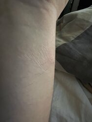 FA3E74DA-56A9-499E-9388-CACB90A948C9.jpeg
