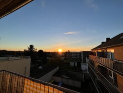 IMG_0312.JPG