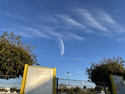 IMG_0310.JPG