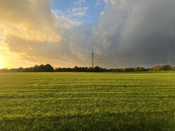 IMG_0028.jpeg