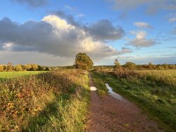 IMG_0024.jpeg