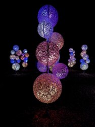 IMG_2531.jpeg