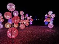 IMG_2532.jpeg