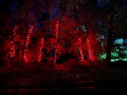 IMG_2536.jpeg