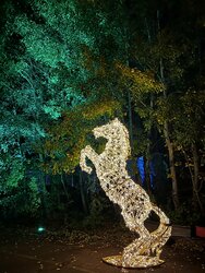 IMG_2636.jpeg