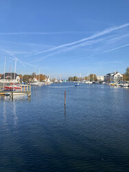 IMG_3836.jpeg