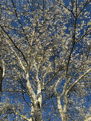 IMG_3841.jpeg