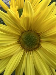 IMG_0381.JPG