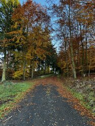 IMG_2763.jpeg