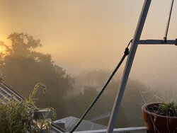 IMG_3840.jpeg