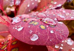 3142A04D-525F-47AF-A6A7-448FAE318DE3.jpeg