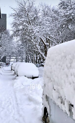 4A1D3192-2988-4EF6-9492-3BA082B87E0D.jpeg