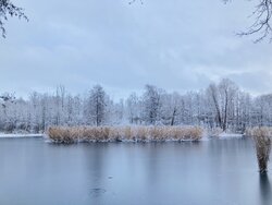 IMG_5490.JPG