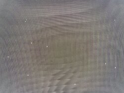 IMG_6486.jpeg