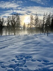 F69B22E0-EB1E-43A5-9F00-DE90C570ECC7.jpeg
