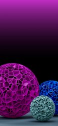 95786315-2D05-4C99-AC7F-D6B1374A57D6.jpeg