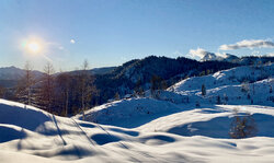 IMG_3438.jpeg