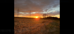 IMG-0064.PNG