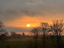 830849DD-D569-4C8C-B05B-E3BB7A107B94.jpeg