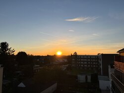 IMG_0313.JPG