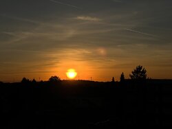 IMG_0314.JPG