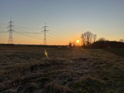 IMG_0310.jpeg